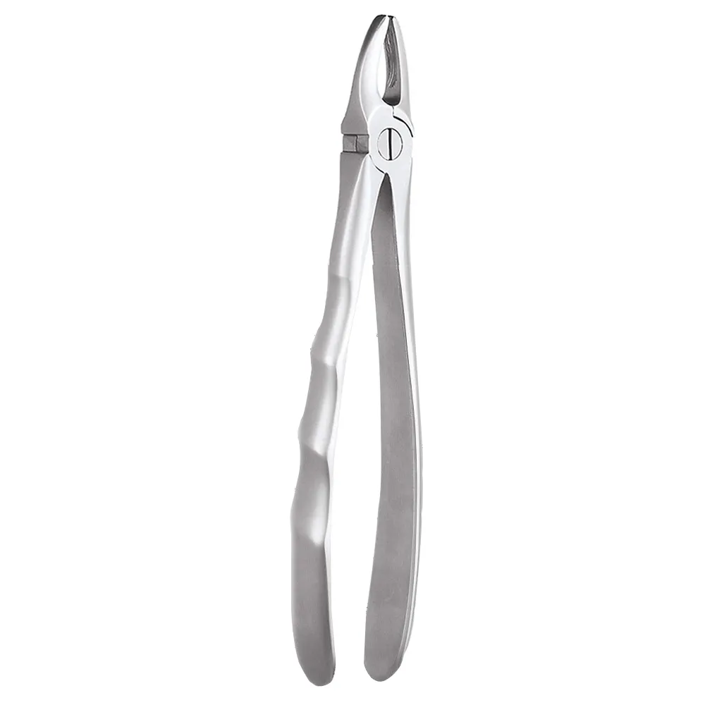 GDC Extraction Forceps Upper Anteriors - 1 Ergonomic (Fx1e) — Teethment catalog guide