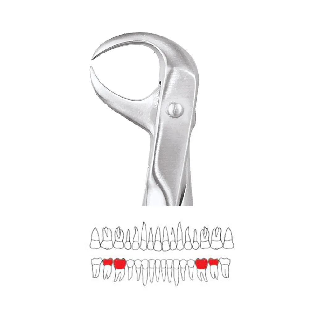 Gdc Box GDC Impaction Kit with Sterilization Box (OSIWC22) — Teethment catalog ...